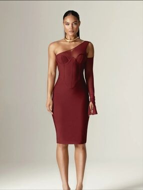 NWT ALIEVA NAOMI MESH BANDAGE MIDI DRESS